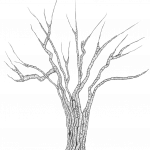 arbre 1