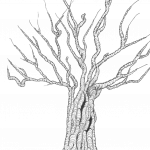 arbre 3